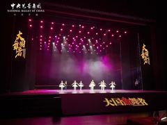 -中央芭蕾舞团·中芭艺蕾(酒仙桥明星校区)