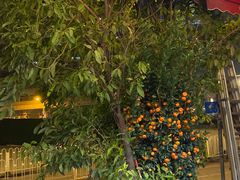 -富记鱼蛋粉(西村店)