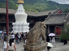 -五台山风景名胜区-罗睺寺
