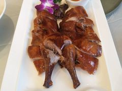 -骏莱海鲜鱼港(五角场店)