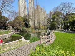 -成都市活水公园