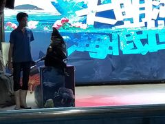 景点-大明湖海底世界