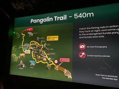 -夜间野生动物园