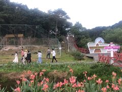 -广州市石门国家森林公园