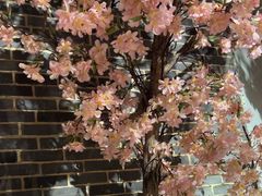 -野妹经典火锅(江夏中百店)