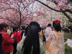 -西安青龙寺遗址景区