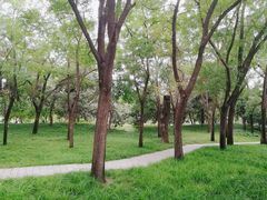 -元大都城垣遗址公园