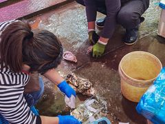 -上海龙吴水胜海发市场