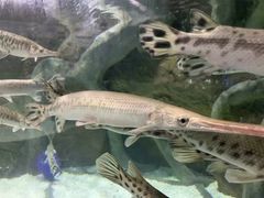 -多彩贵州城极地海洋世界