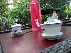 android_upload_pic-望江楼公园