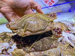 -聚盛源蒸汽海鲜火锅烤肉自助(巨川金海岸购物广场店)