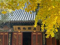 -洛阳白马寺