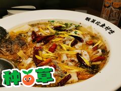 -太二酸菜鱼(群光广场店)
