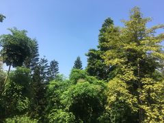 景点-广州珠江公园