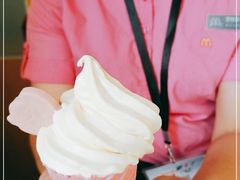 -麦当劳(新洲南路店)