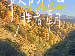 -云顶山风景区