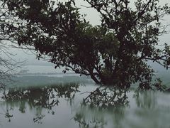 -灵顺寺