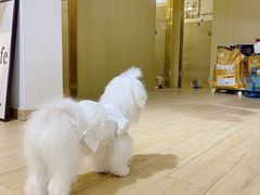 -Double Rui宠物酒店