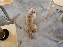 -坊间咖啡馆(贝岗店)