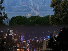 -南山植物园