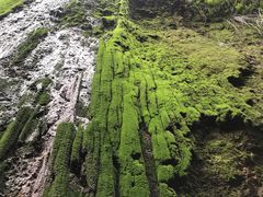 -鹿院坪生态旅游景区