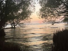 -宝安西湾红树林湿地公园