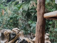 -龙达温泉生态城