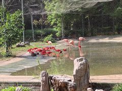 -石家庄市动物园