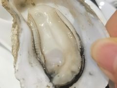 -蚝美人·生蚝海鲜烧烤(茶花园店)