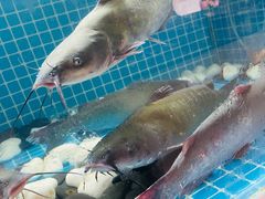 景观位-马邦子·紫苏烤鱼(恒隆广场店)