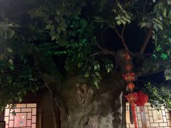 -淀里船宴(裕华东路店)