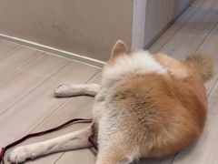 -YCHL Studios健身工作室(市二宫店)