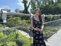 -东莞植物园