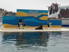 -南戴河国际娱乐中心