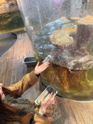 -Zoolung Zoolung动物主题公园(海信广场店)