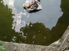 -黄埔古港