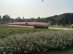 -同里国家湿地公园
