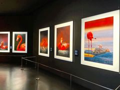 -罗红摄影艺术馆