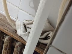-天津啄木鸟数码维修