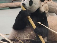 -柳州市动物园