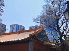 -真庆观