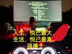 -枫花园汽车电影院(朝阳公园店)