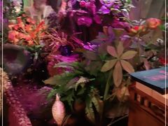 -醉小酒馆·川菜·江湖菜·重庆菜(观音桥旗舰店)