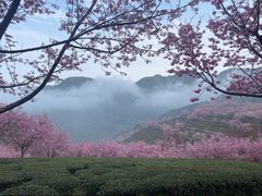 -梅州天地人花园酒店(梅县人民广场店)