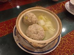 -丁老爷子苏香圆