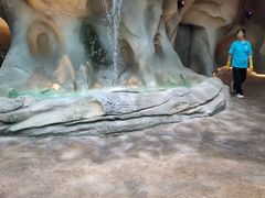 -杭州开元森泊度假乐园