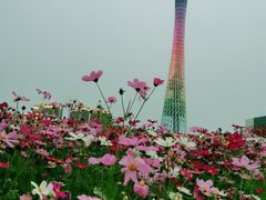 -海心沙亚运公园
