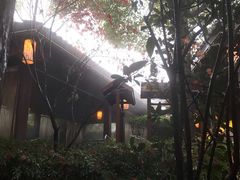 -杭州第一世界大酒店·云曼温泉