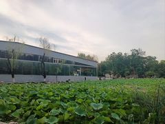 -莲湖公园