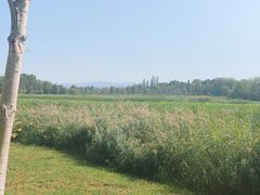 -野鸭湖国家湿地公园